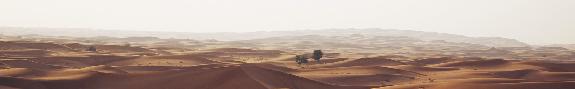 ʥҬ޹˾